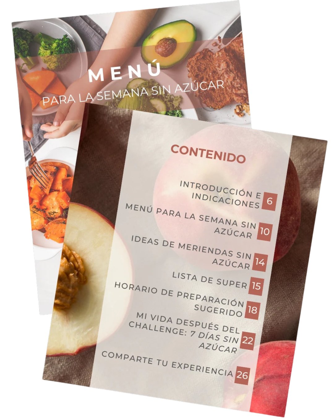 Vista previa del manual del No Sugar Challenge